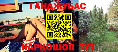 стаф Нарткала